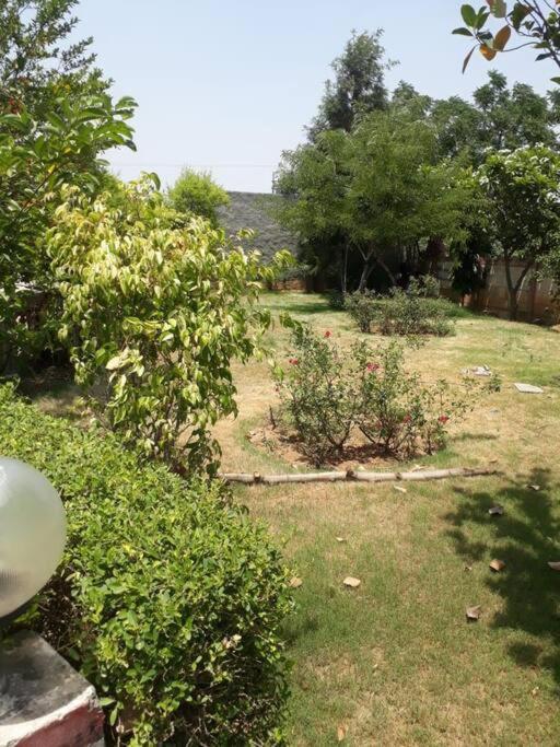 Achal Farm जंगल में मंगल Villa Gurgaon Dış mekan fotoğraf