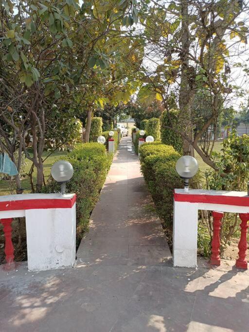 Achal Farm जंगल में मंगल Villa Gurgaon Dış mekan fotoğraf