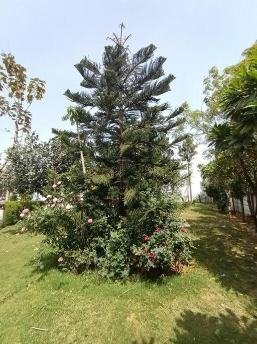 Achal Farm जंगल में मंगल Villa Gurgaon Dış mekan fotoğraf